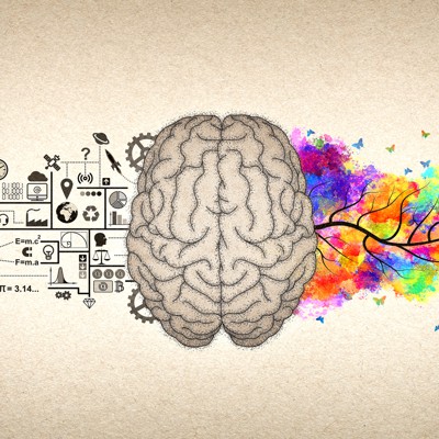 Illustration of a human brain split into two hemispheres.